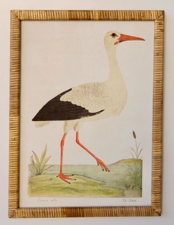 Stork Picture Rattan Frame